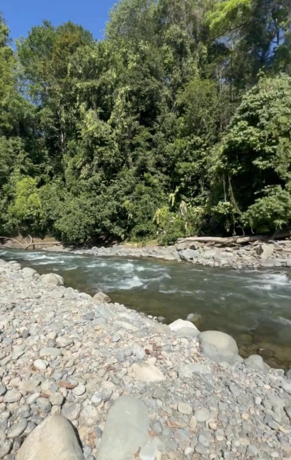 La Comarca River Glamping Dome Near Manuel Antonio Exterior foto